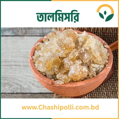 Palm Candy (তালমিসরি)